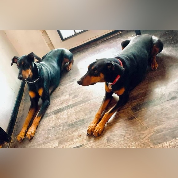 nubiacerecedo